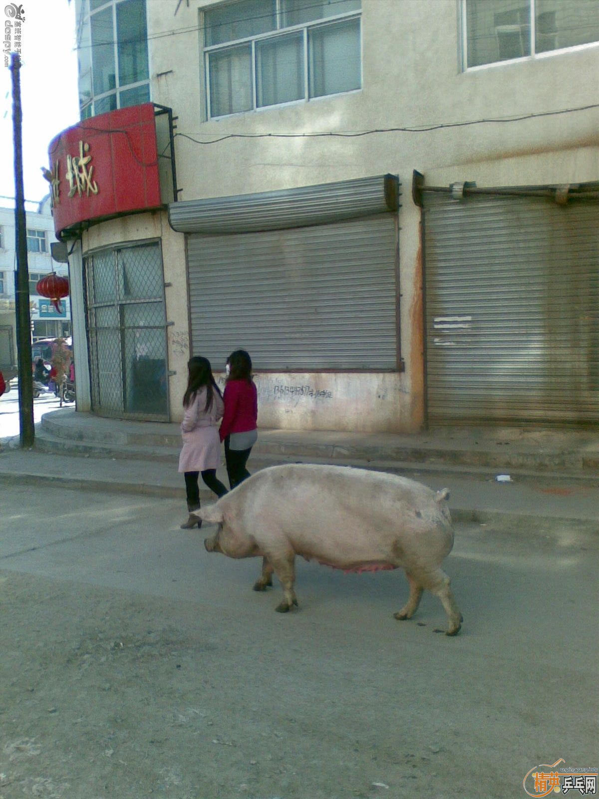 <strong><font color="#800080" size="4">��άSANWEI��Ӱ���� ���ȿ���</font></strong>