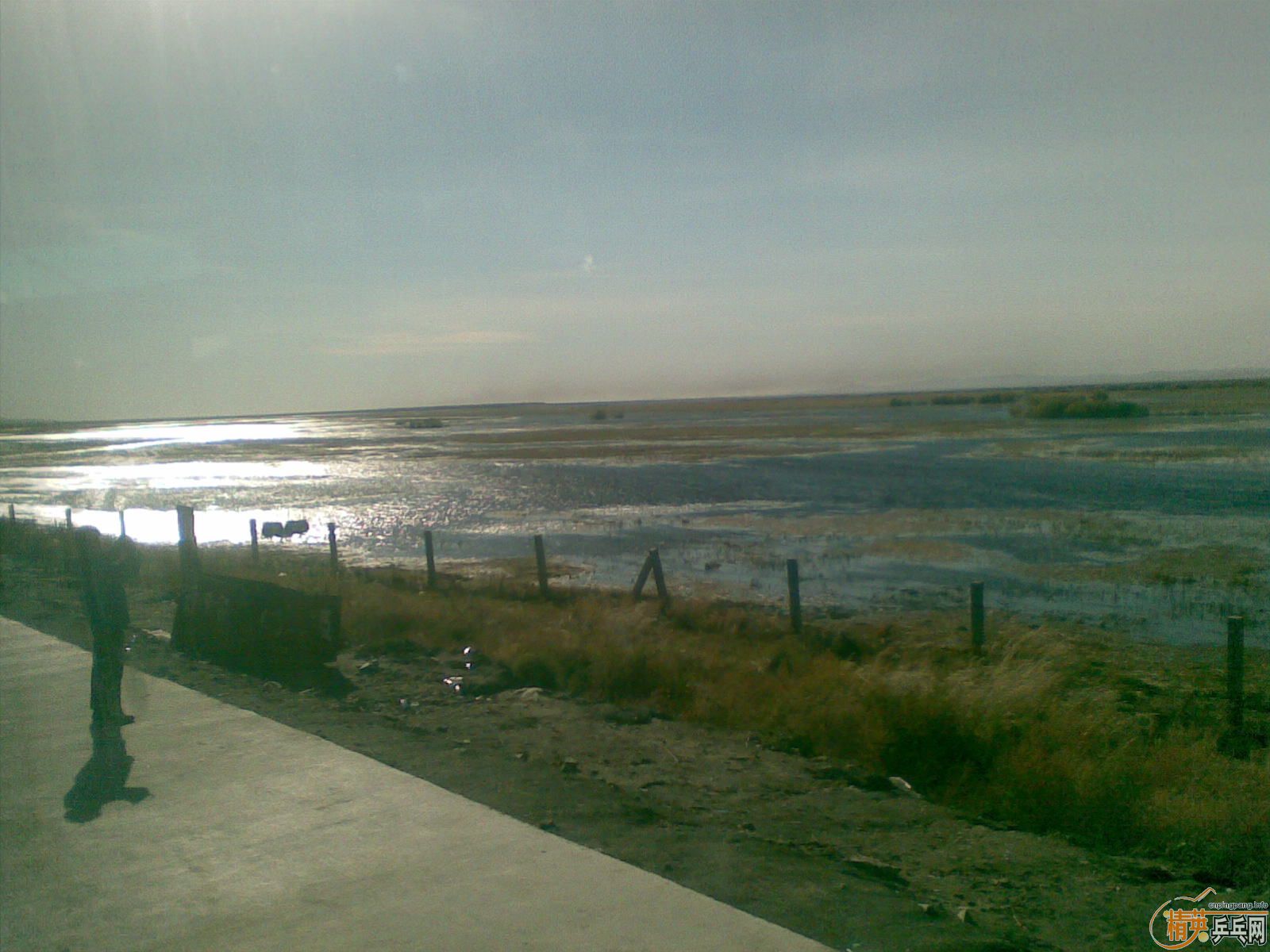 <strong><font color="#800080" size="4">��άSANWEI��Ӱ���� ���ȿ���</font></strong>