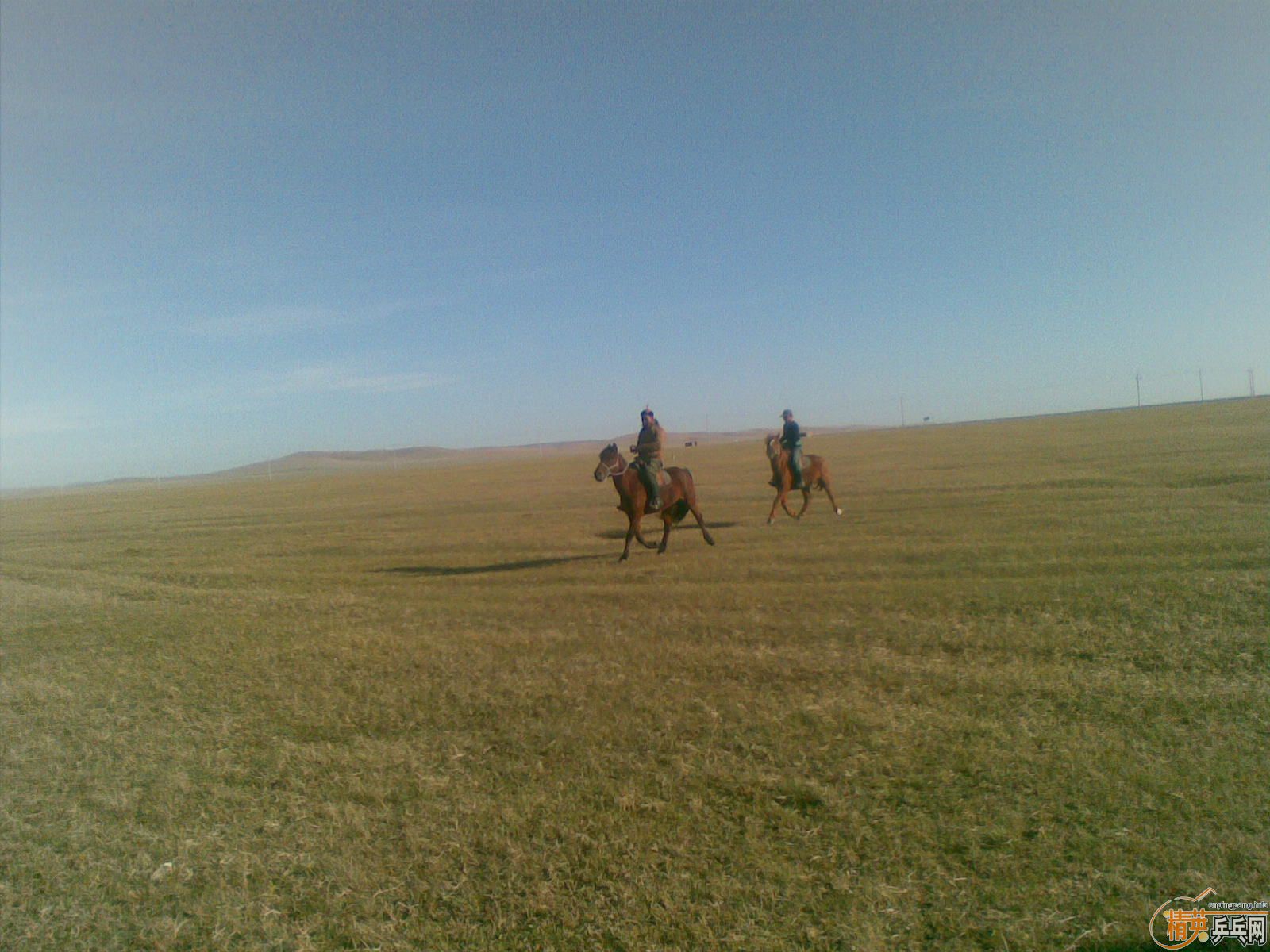 <strong><font color="#800080" size="4">��άSANWEI��Ӱ���� ���ȿ���</font></strong>