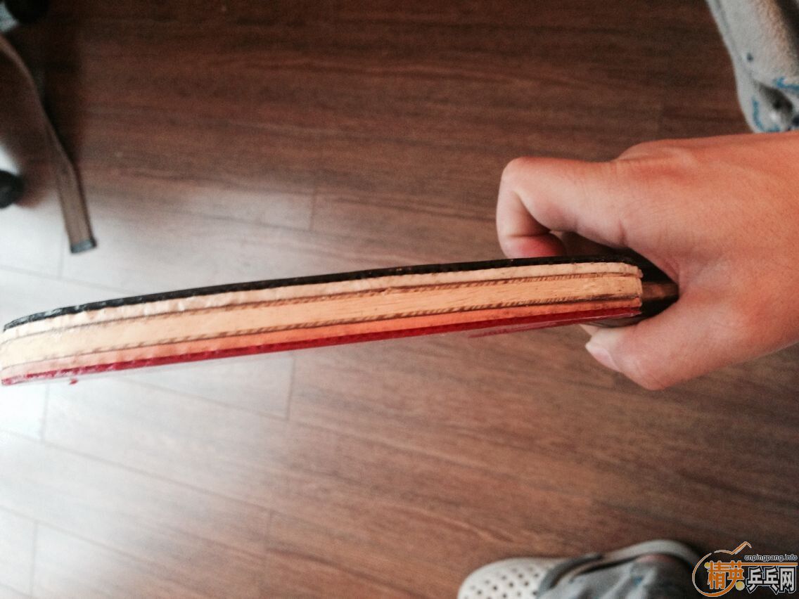 ���˲���5���µ����ӣ�˦�����飡����