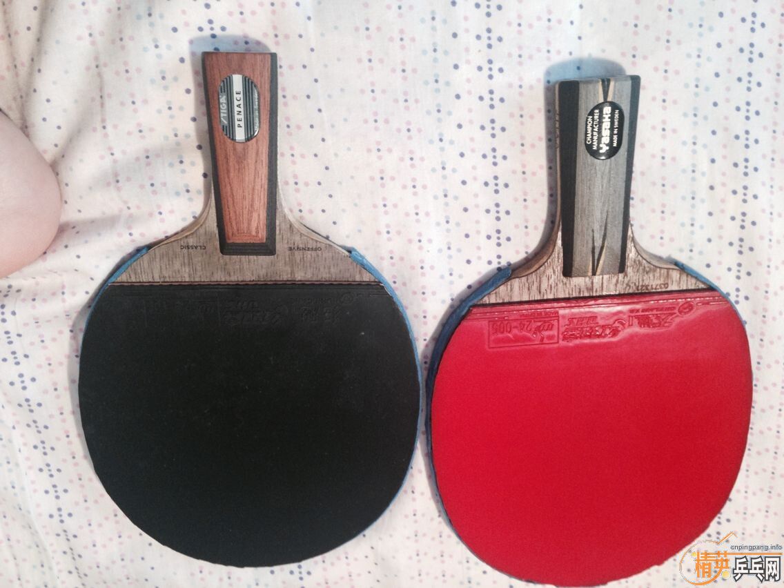 ���˲���5���µ����ӣ�˦�����飡����