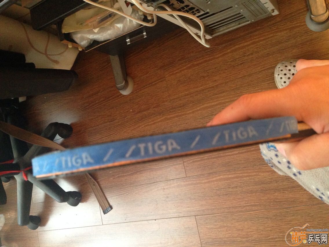 ���˲���5���µ����ӣ�˦�����飡����