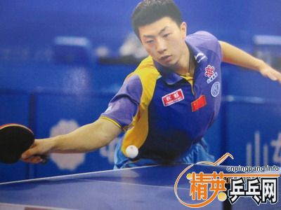 �����ѧ������һֻ���