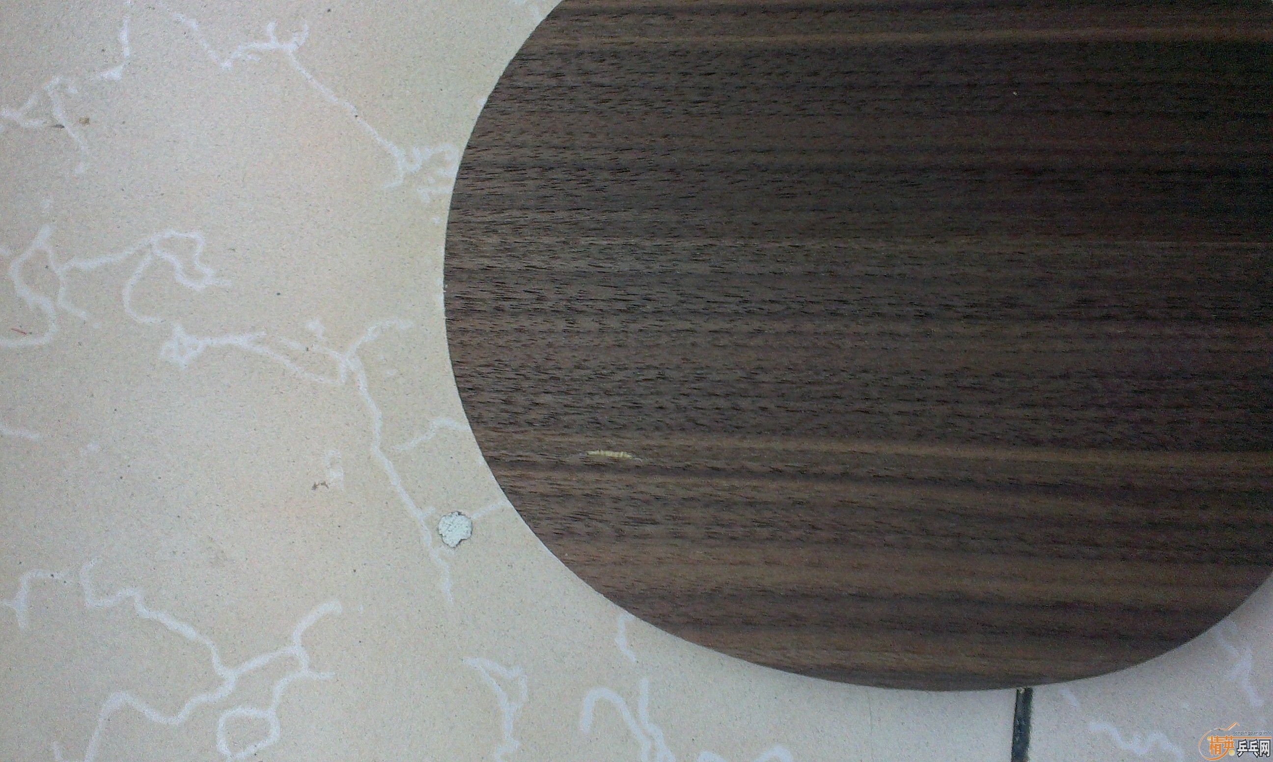 [ԭ��]����Ʒ��Donic/����� 22811 32811 ��ǡ���Senso V1 �װ�