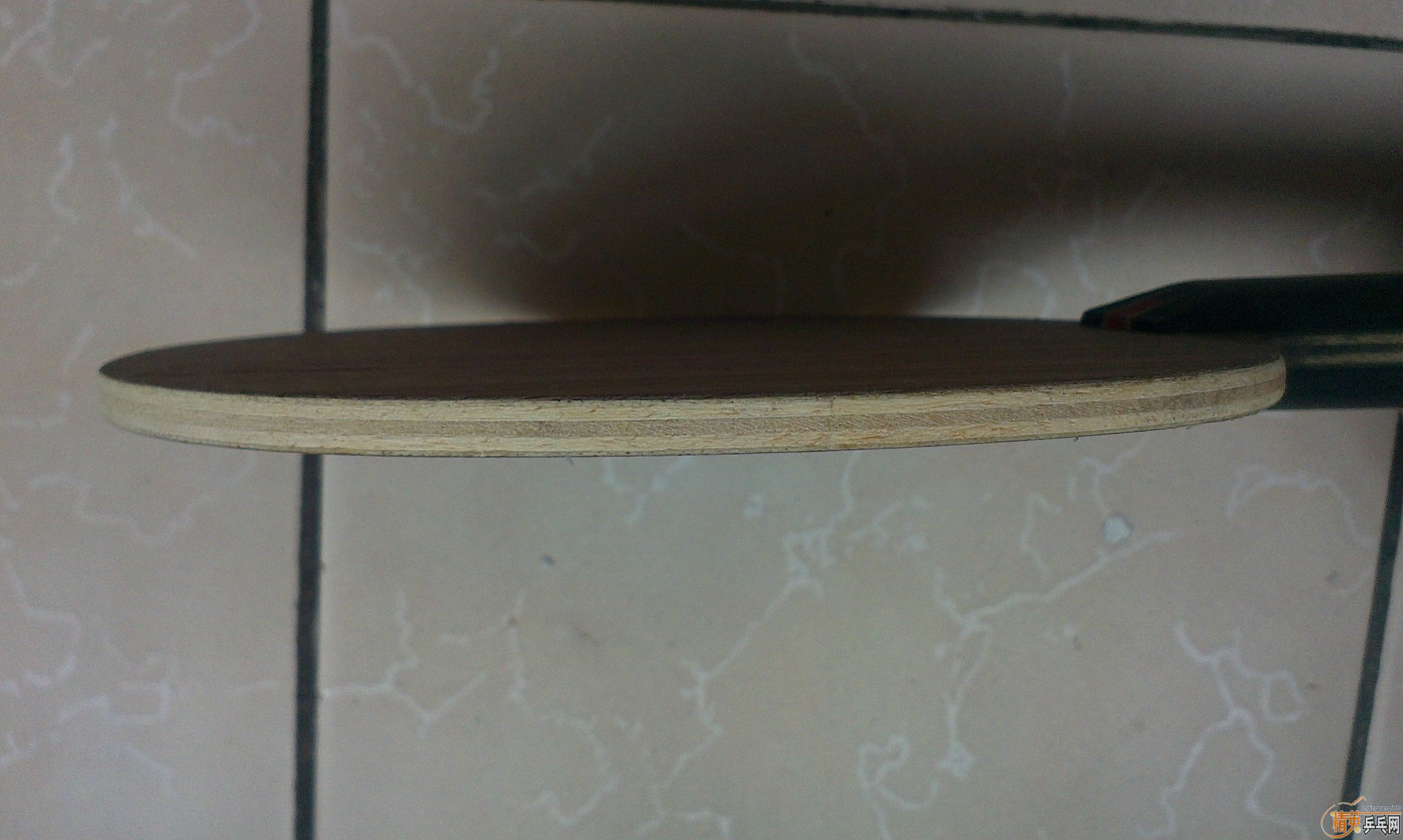 [ԭ��]����Ʒ��Donic/����� 22811 32811 ��ǡ���Senso V1 �װ�