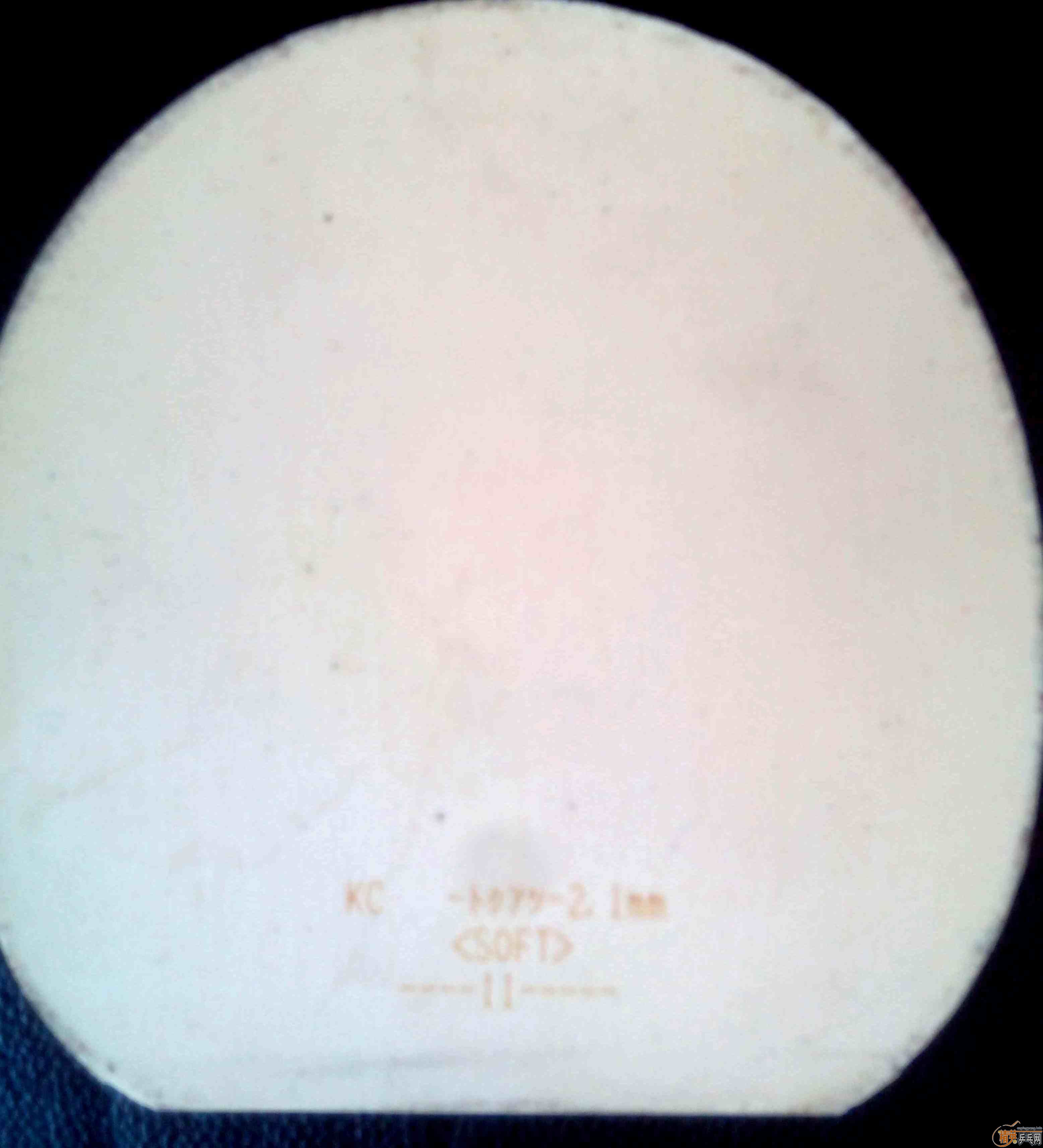 ������ �����׽�������Roundell