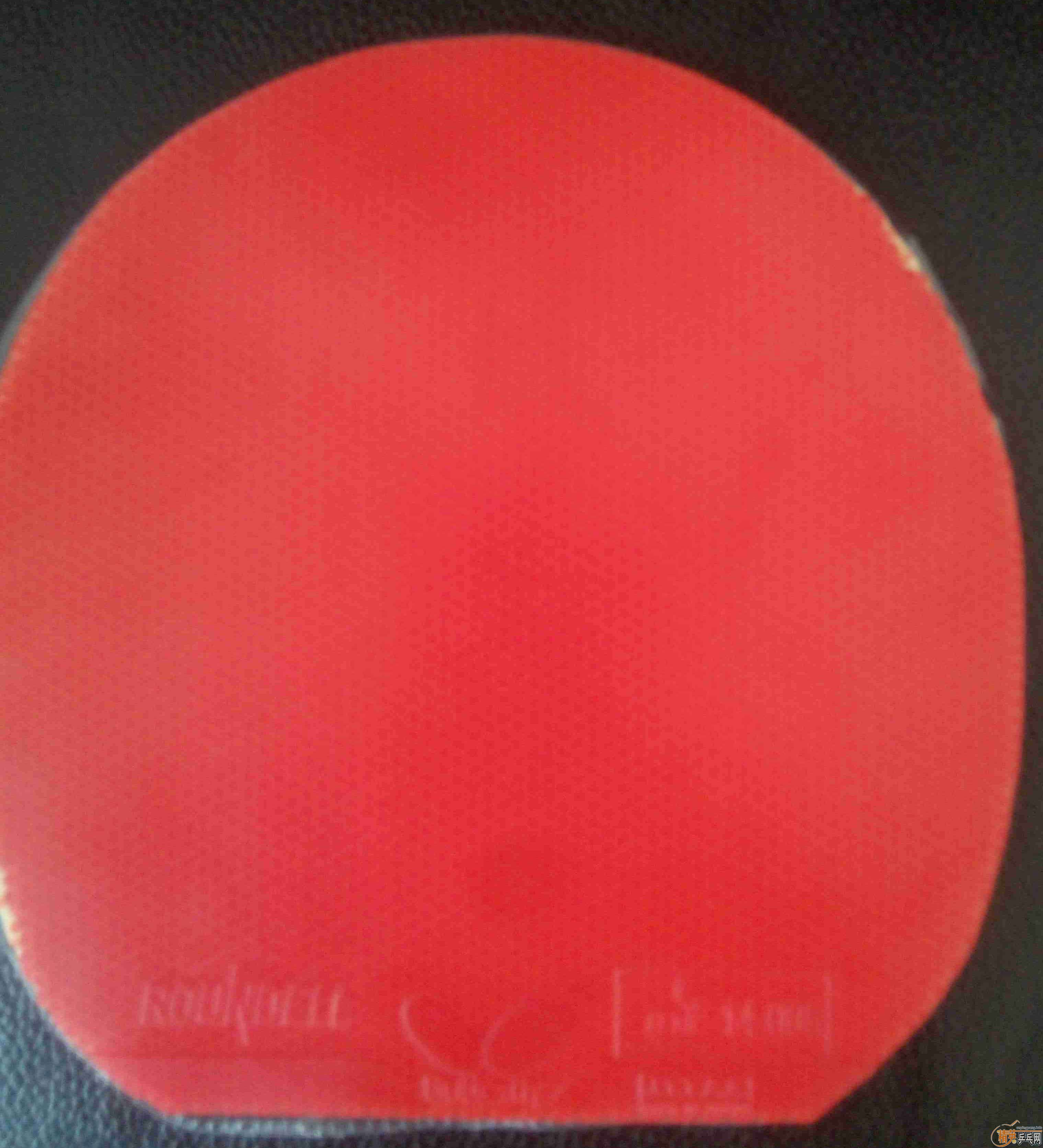 ������ �����׽�������Roundell