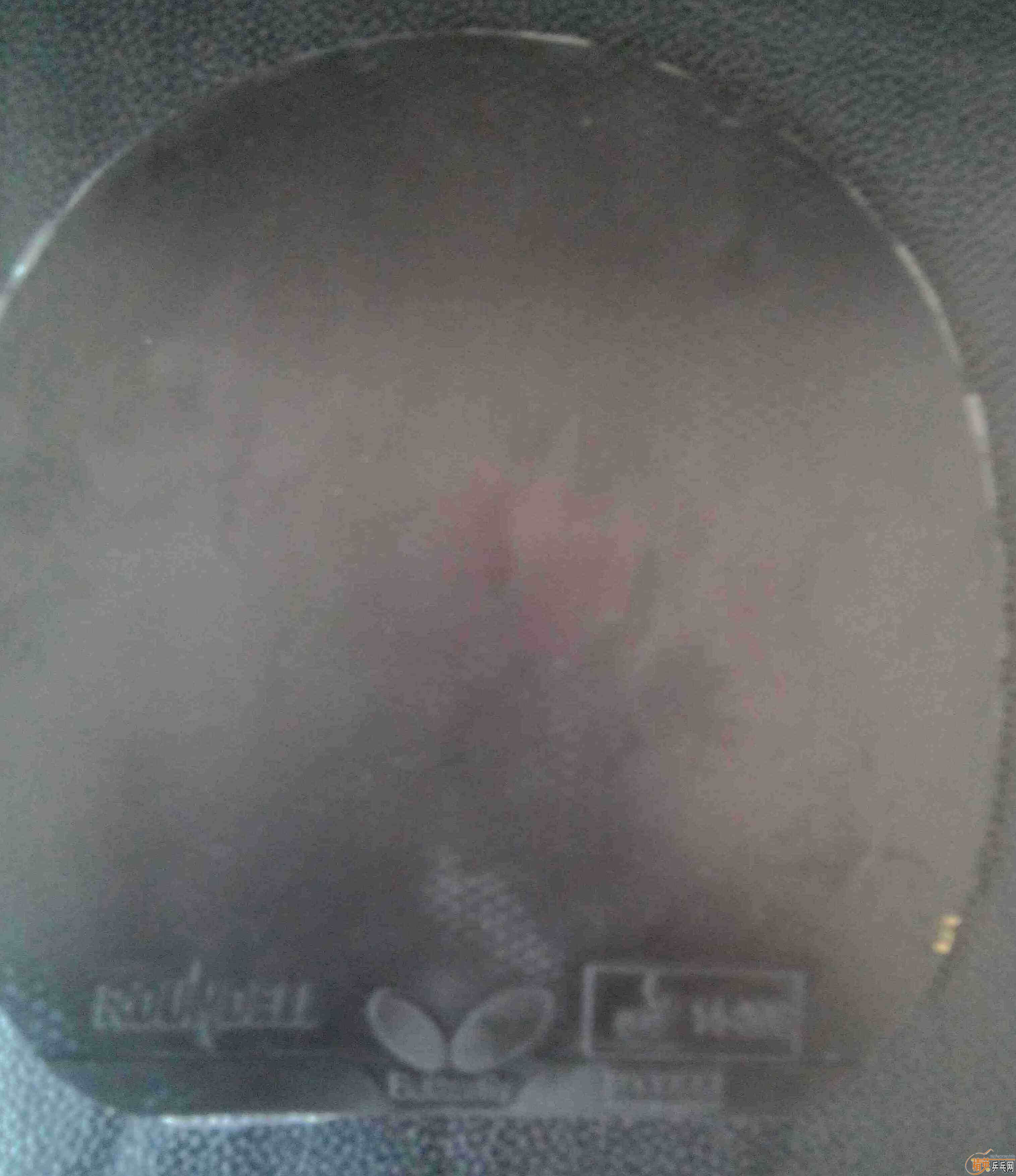 ������ �����׽�������Roundell