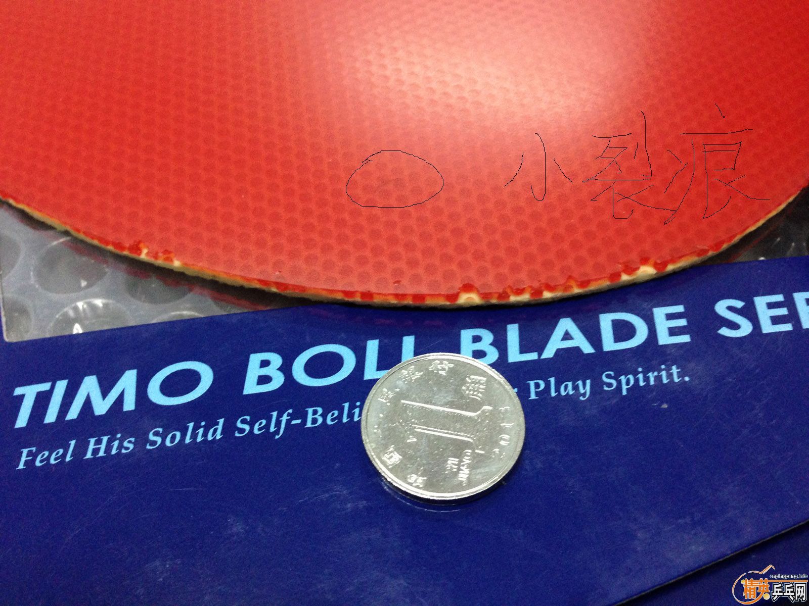 ����K�벨������TBS��+������ٶ�FX���������ͼ����ӭ�������ͣ�