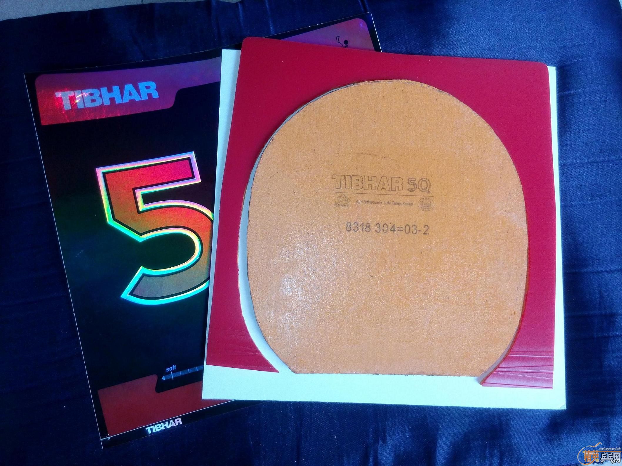 ���˳���ͦ��5Q �� ����MUSA2  �׽���