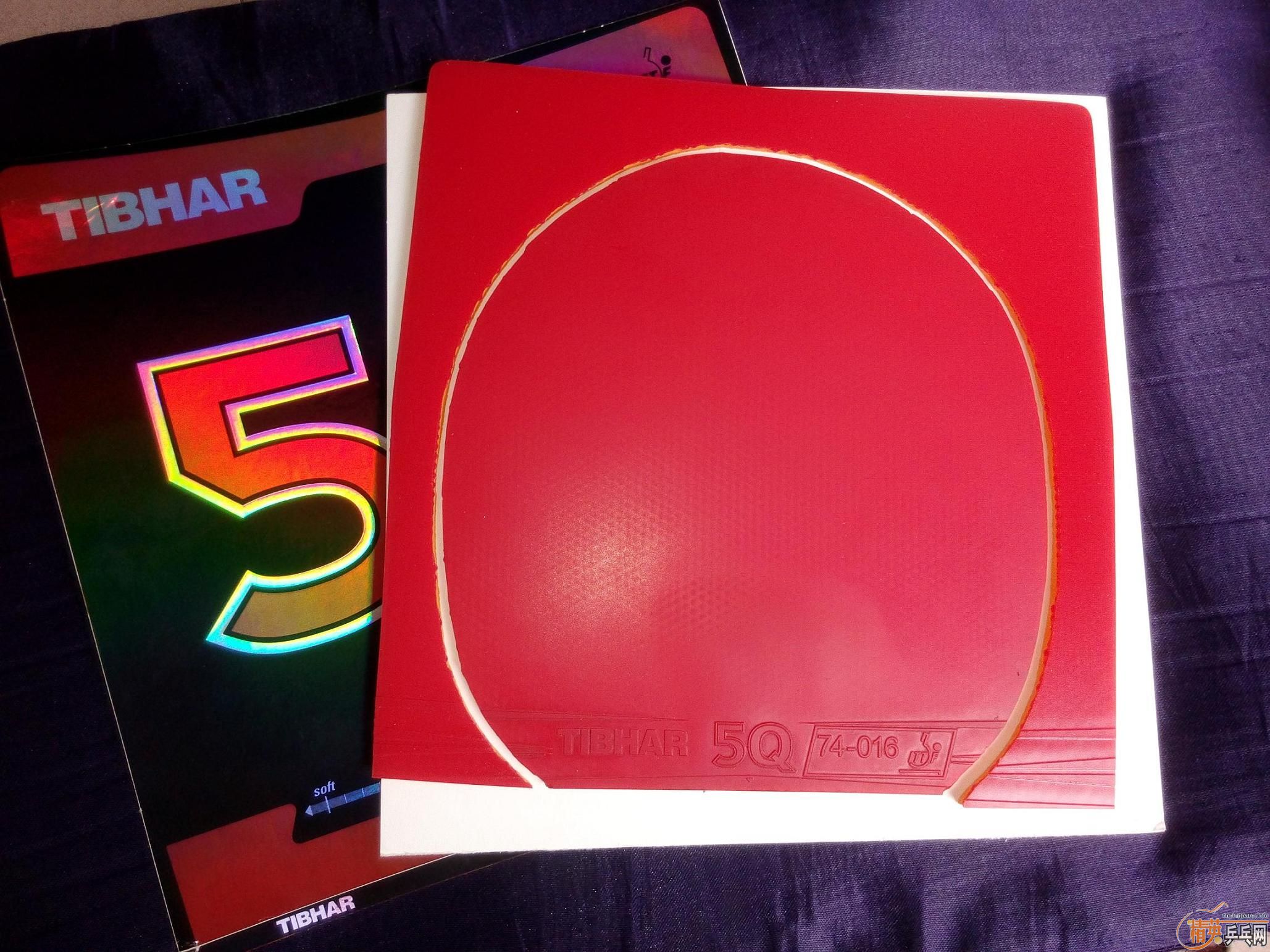 ���˳���ͦ��5Q �� ����MUSA2  �׽���