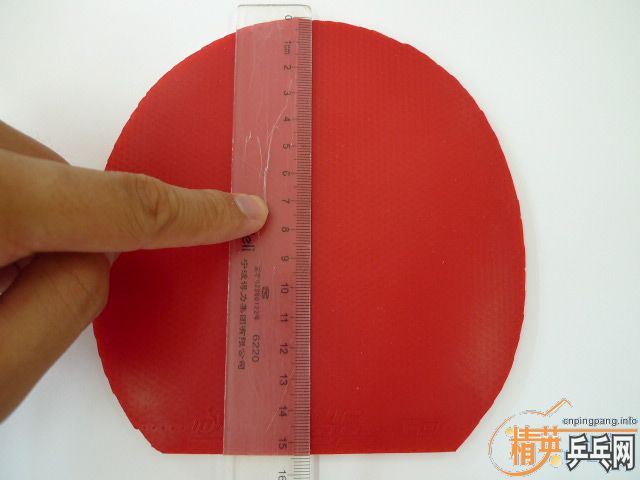 ��95�׽�DONIC F3 / ��ɫ / ���MAX