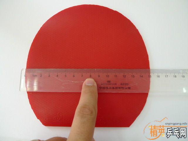 ��95�׽�DONIC F3 / ��ɫ / ���MAX