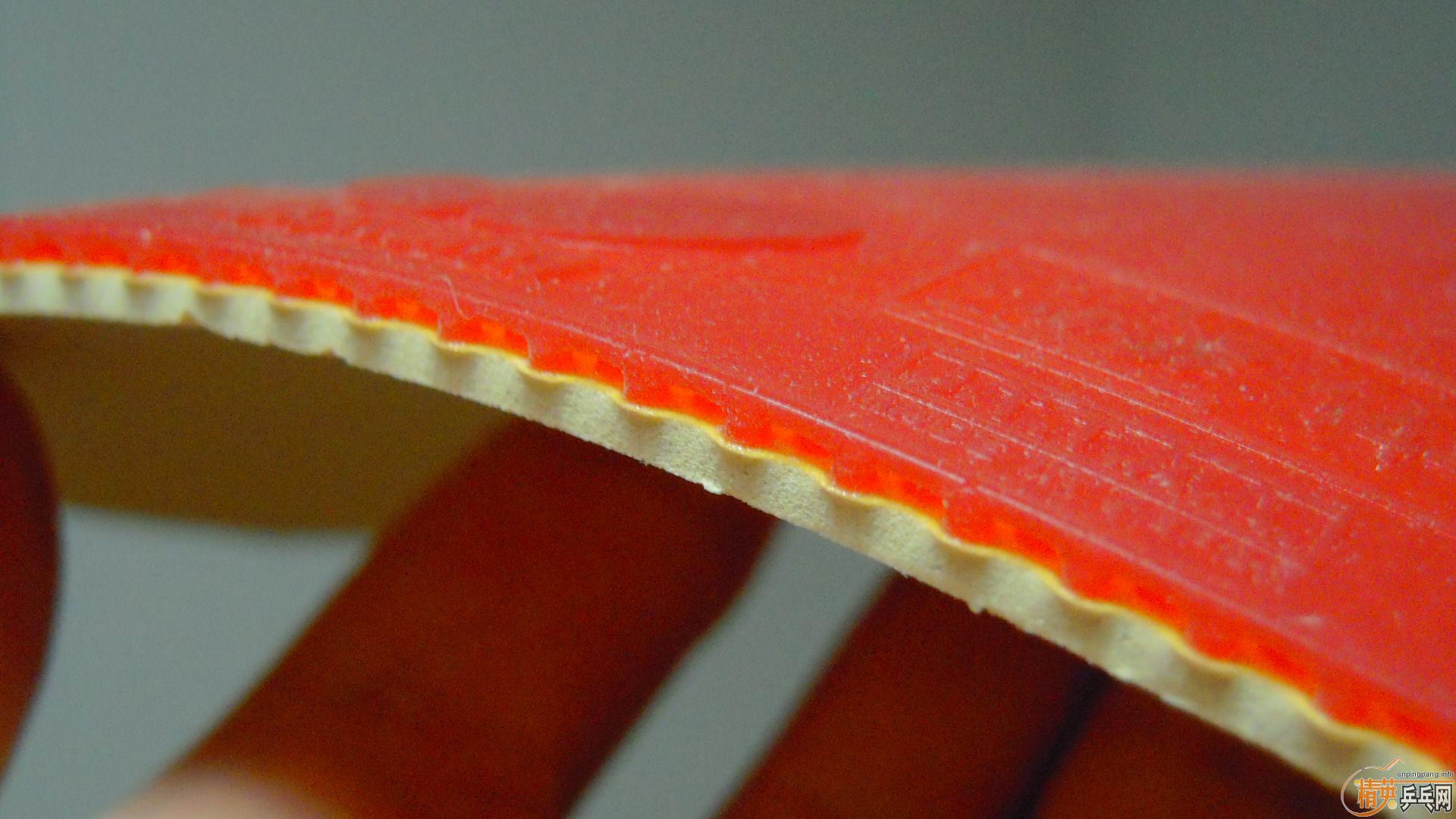 �������к���ROUNDELL����ɫ2.1��35�ȣ�110���ʣ�