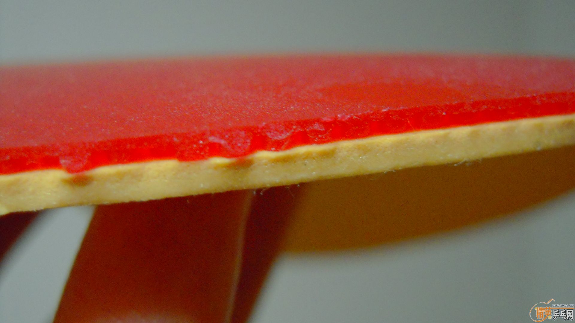 ��������������RENANOS SOFT�����ϻ�������ɫ�غ�160���ʣ�