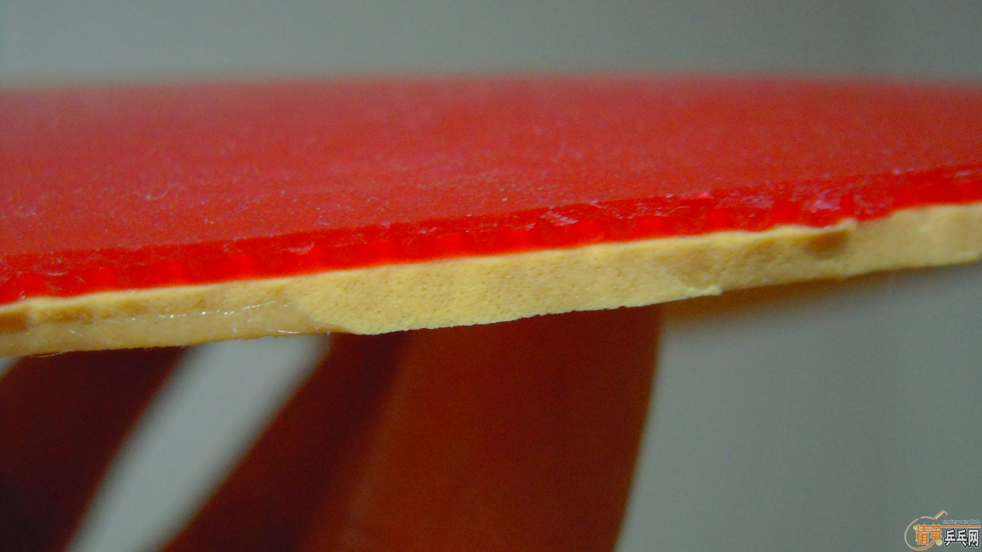 ��������������RENANOS SOFT�����ϻ�������ɫ�غ�160���ʣ�