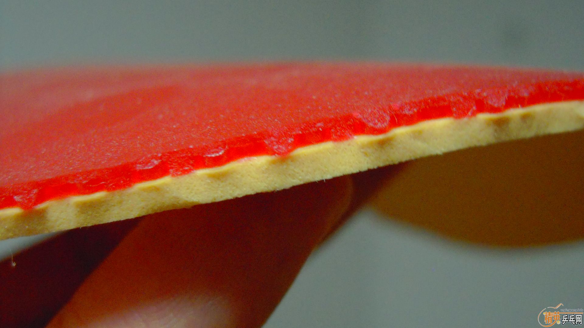 ��������������RENANOS SOFT�����ϻ�������ɫ�غ�160���ʣ�