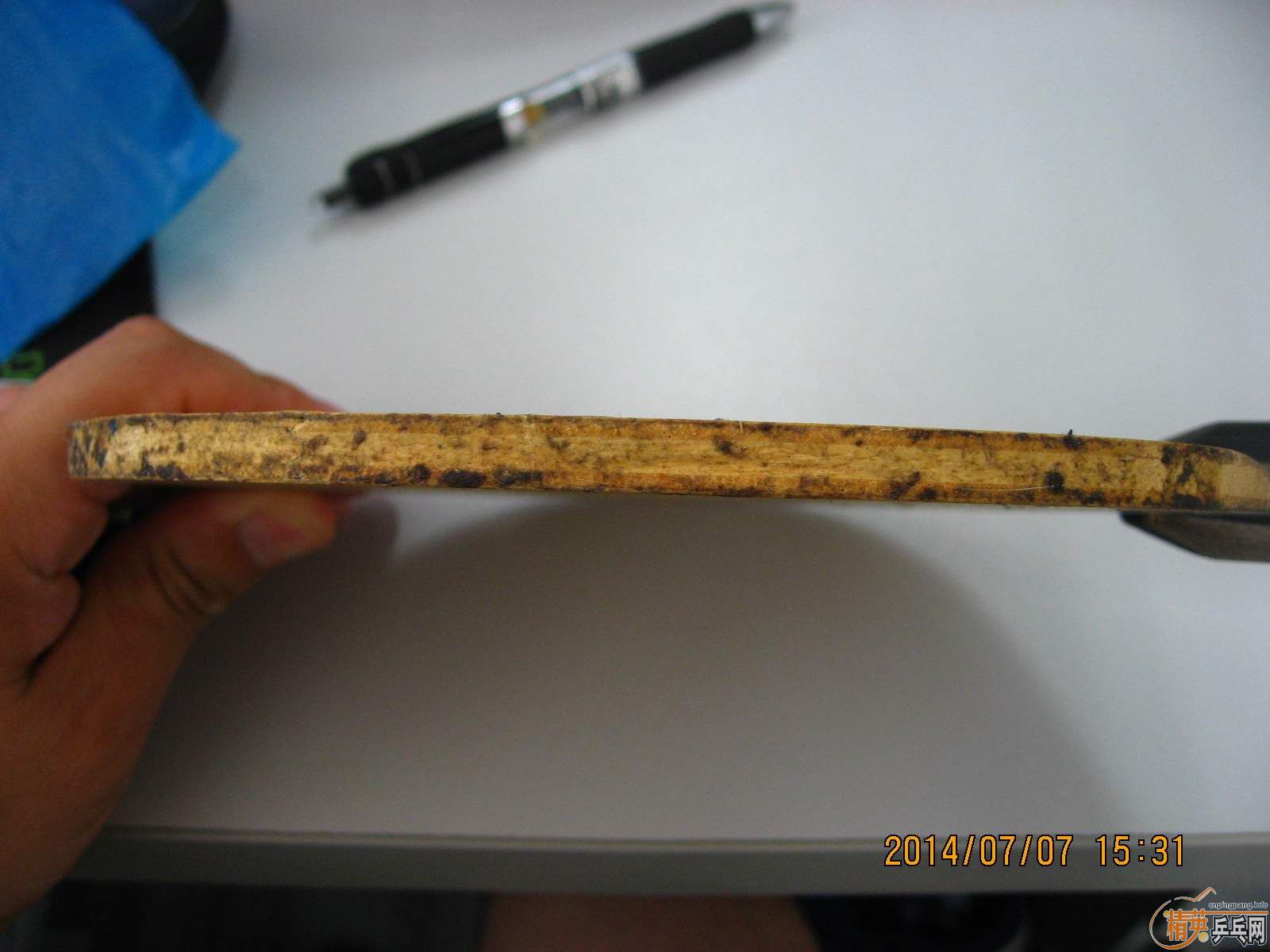 ��Ӣ�������ϸ��TO����YE