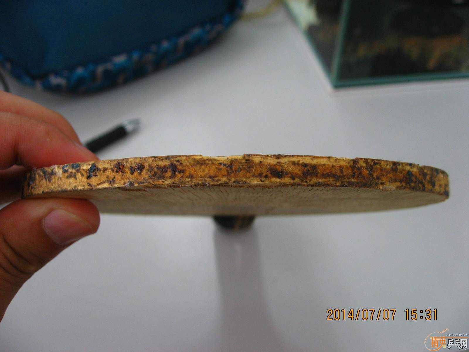 ��Ӣ�������ϸ��TO����YE