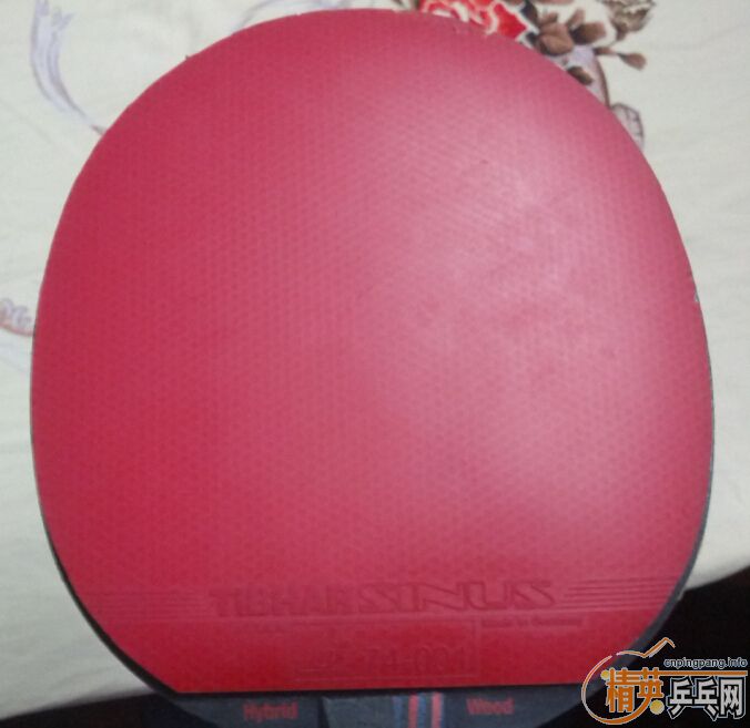 ���Ŀ齺Ƥ������soft��Ī��ʷ��RS soft������Jo��һ������������ɫ��������������һ����