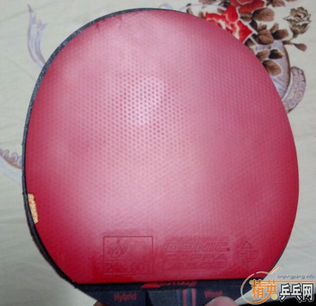 ���Ŀ齺Ƥ������soft��Ī��ʷ��RS soft������Jo��һ������������ɫ��������������һ����