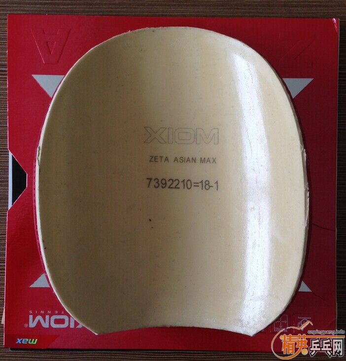 ��ֻ�Թ���Сʱ�ĺ�ɫXIOM����ŷ����5,һ���ɫ���ʹ�Z�ͺ�ɫ05