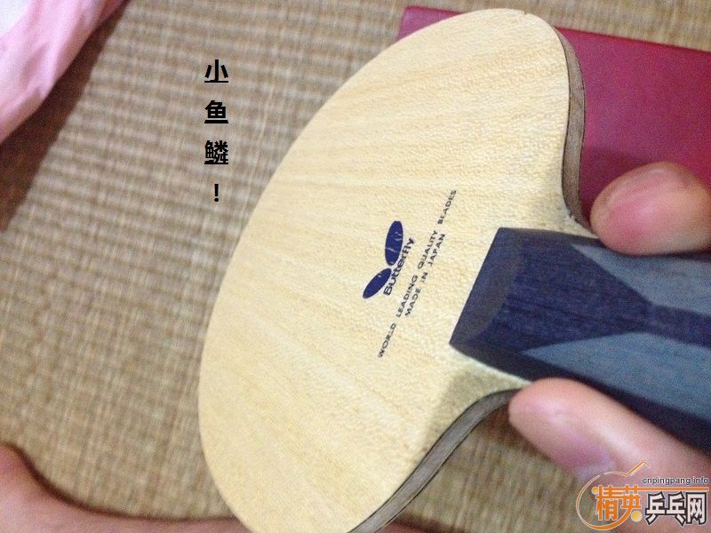 [ԭ��]һֱ��ľ�������ò�����ALC��ֻ������С�ˣ�Ҫ�Ľ�~~~