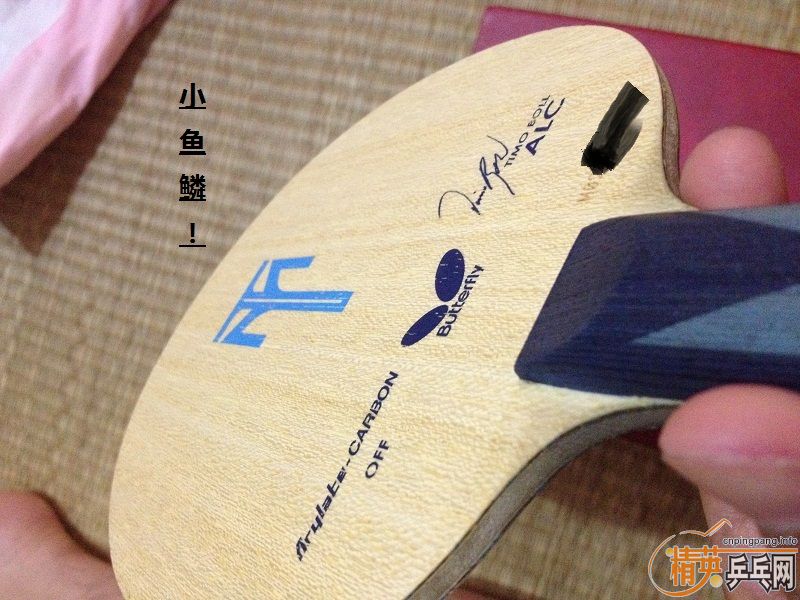 [ԭ��]һֱ��ľ�������ò�����ALC��ֻ������С�ˣ�Ҫ�Ľ�~~~