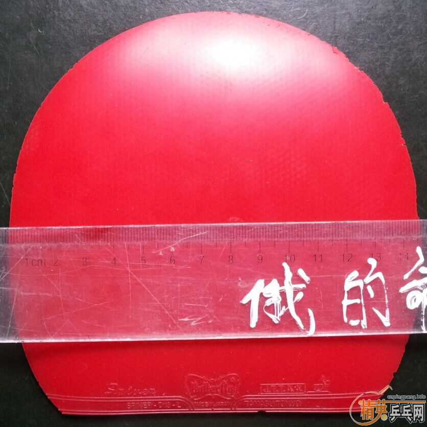 ��ֱ�����׽�������EL������3����¡̩���ȶ���