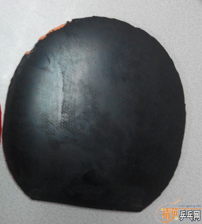 ���Ʊ���