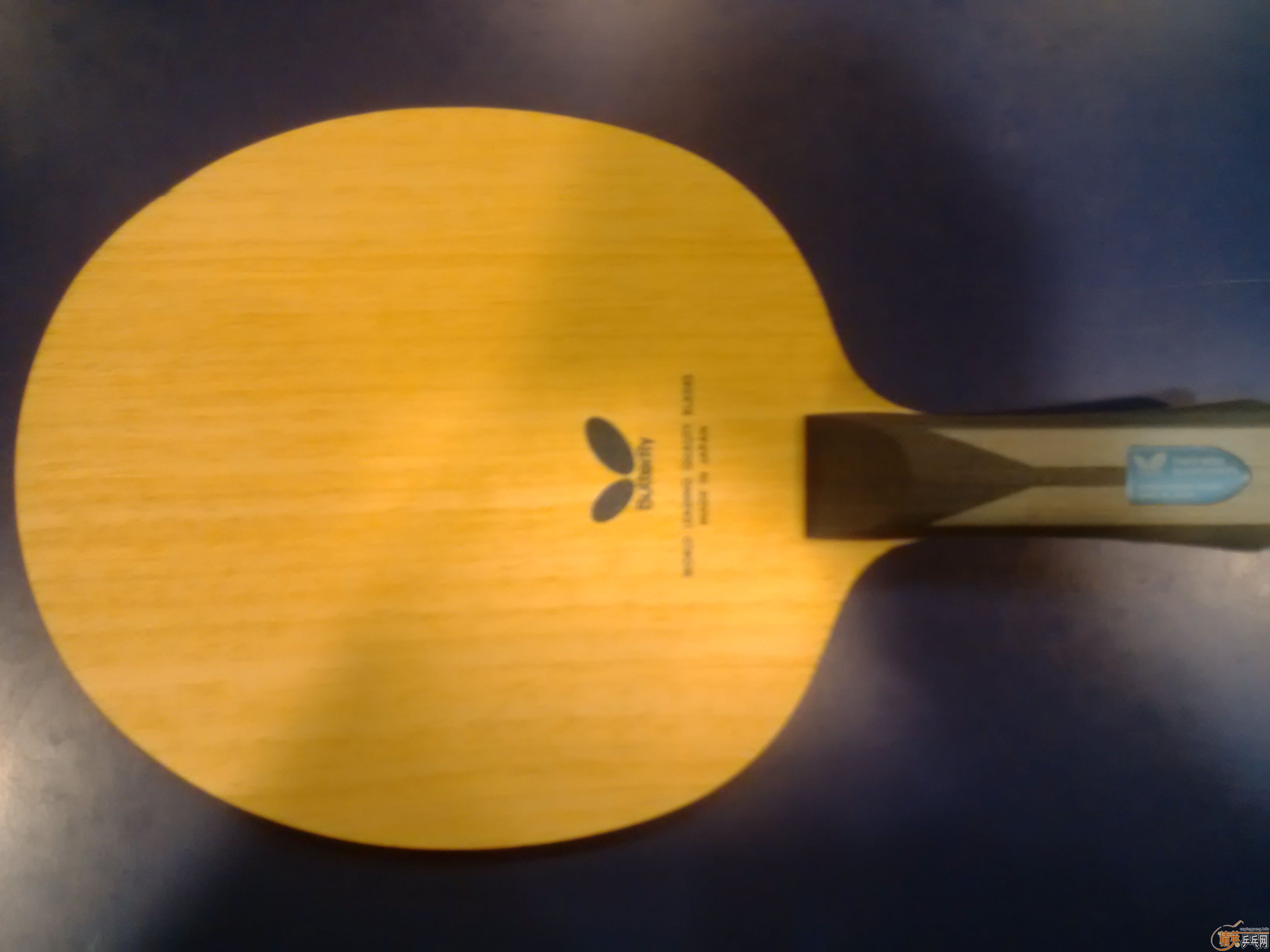 620���հ沨��ALC FL��