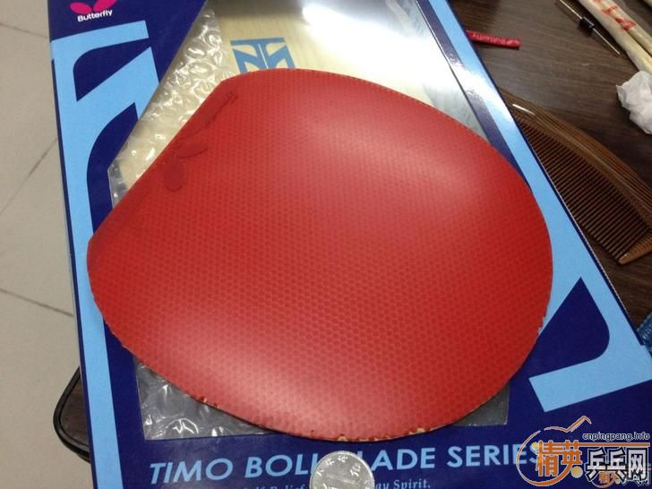 ������ٶ�FX