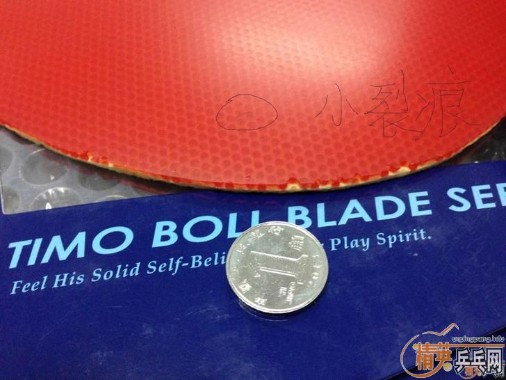 ������ٶ�FX