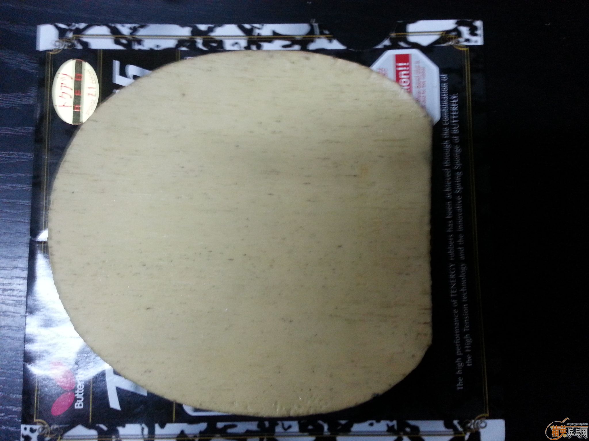 ������ٶ�FX