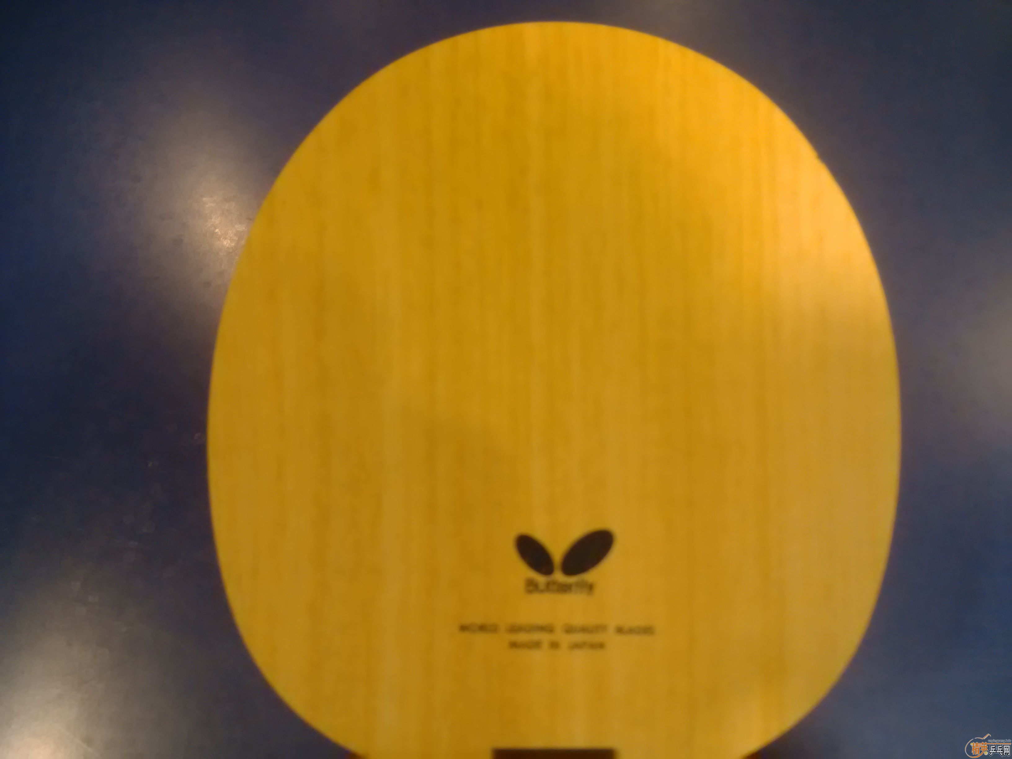 620���հ沨��ALC FL��