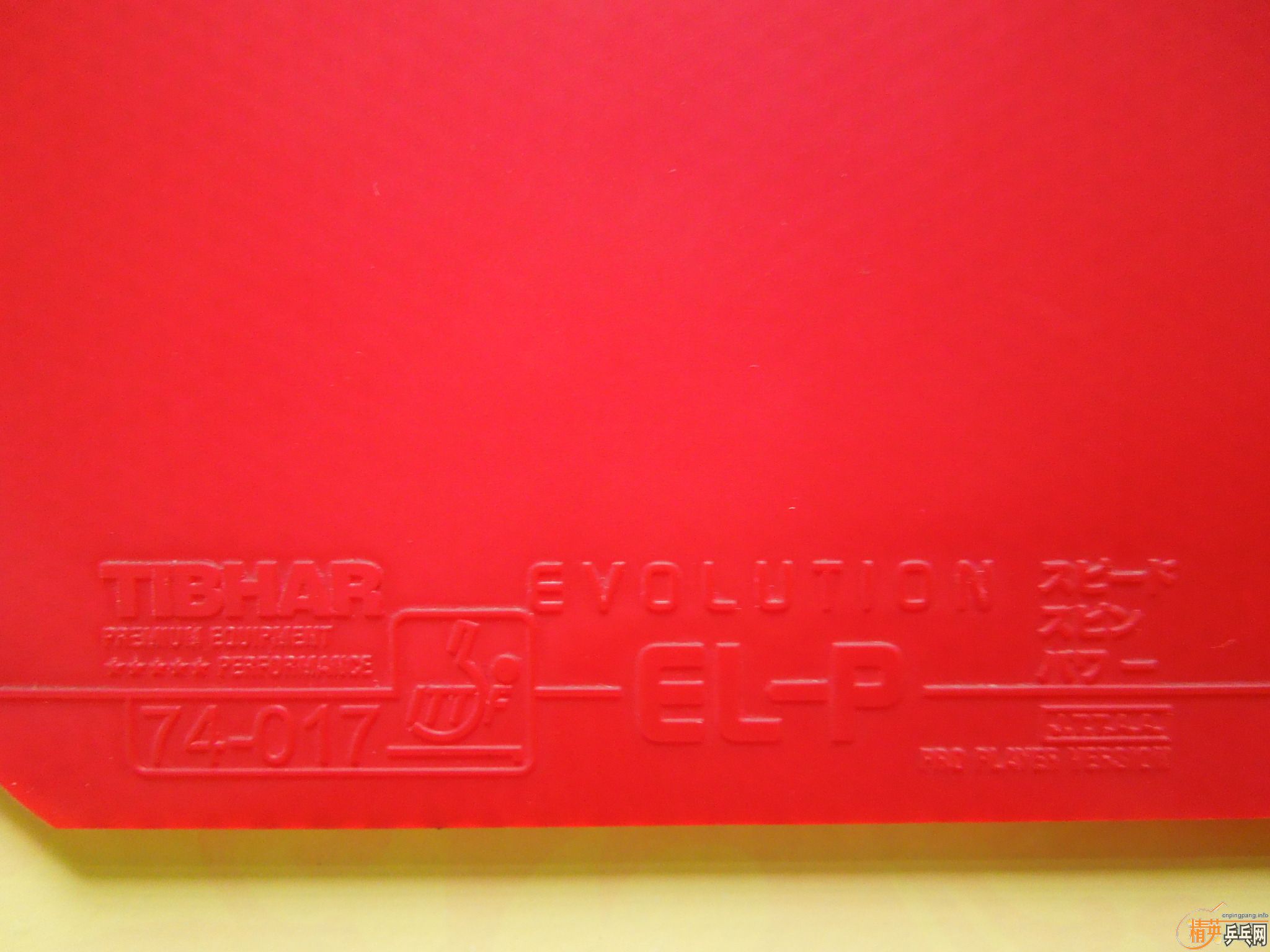 ͦ��EL-P�׽�