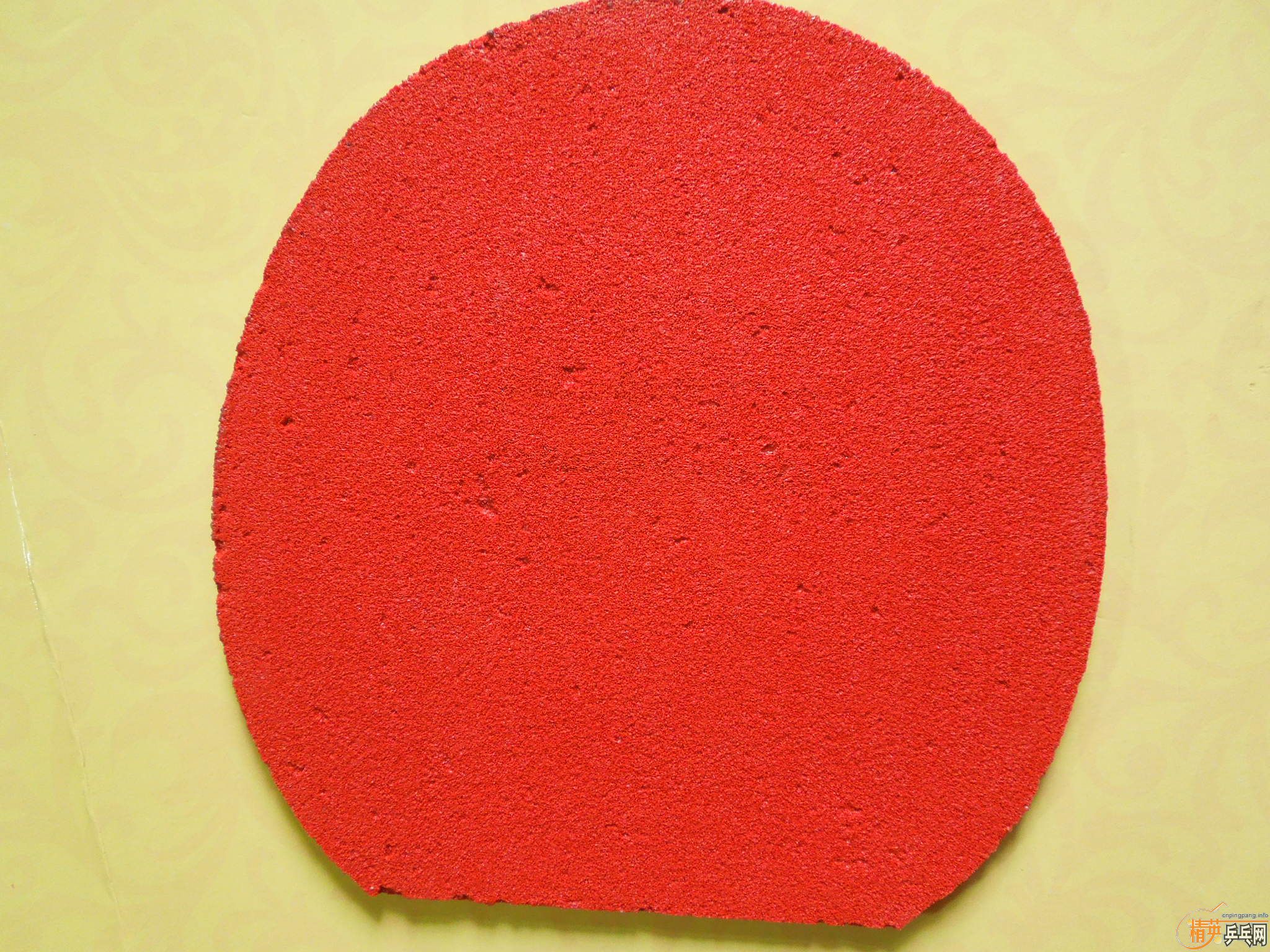 ͦ��EL-P�׽�