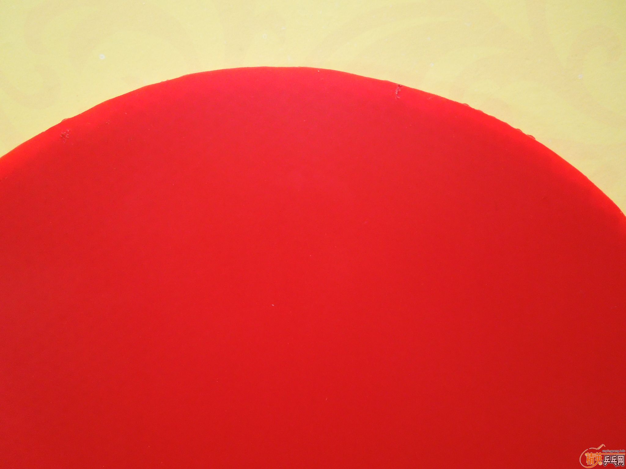 ͦ��EL-P�׽�