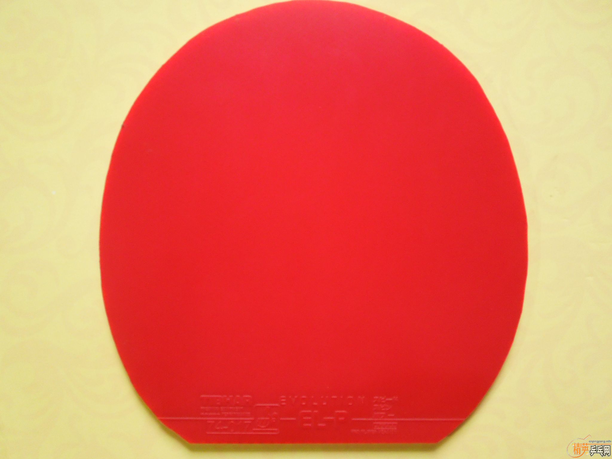 ͦ��EL-P�׽�