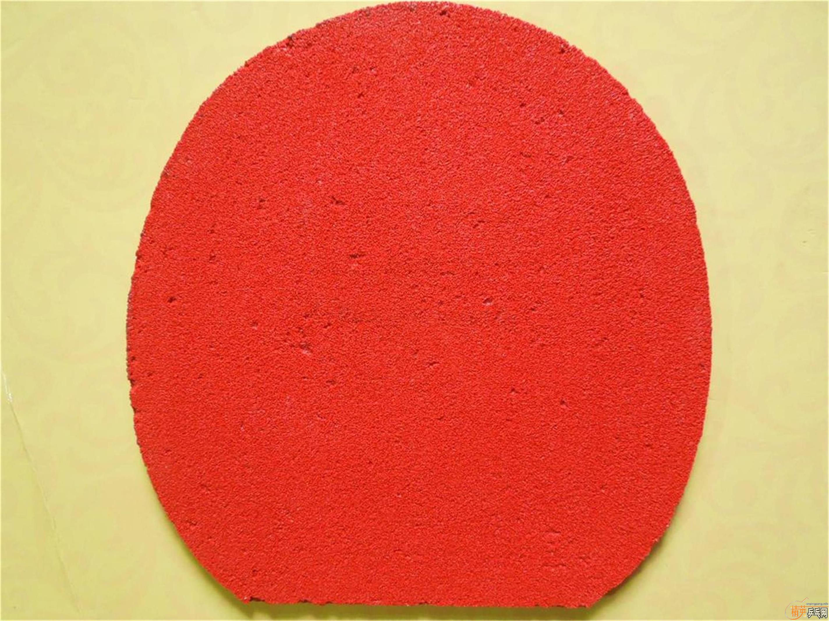 ͦ��EL-P�׽�