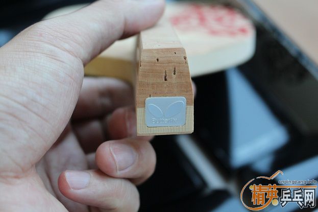 ������֮