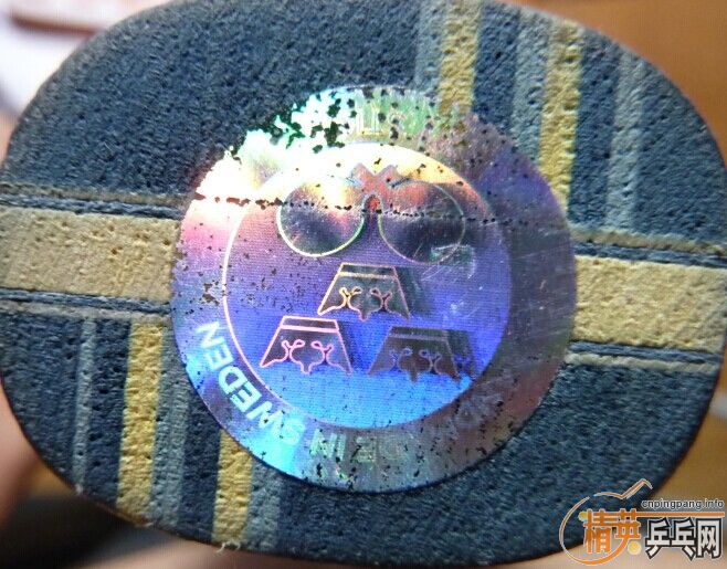 ��FL��EG���л���8����