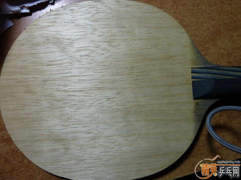 ��FL��EG���л���8����