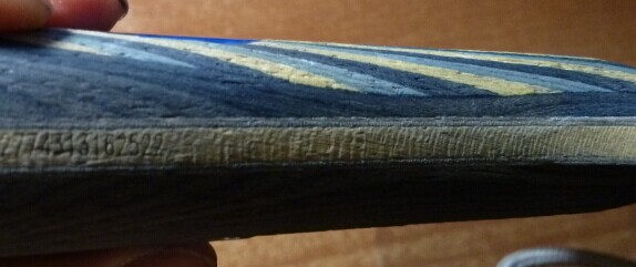 ��FL��EG���л���8����