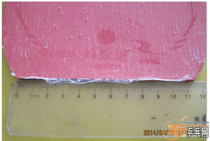 T05 NEO�տ�39���׽�����