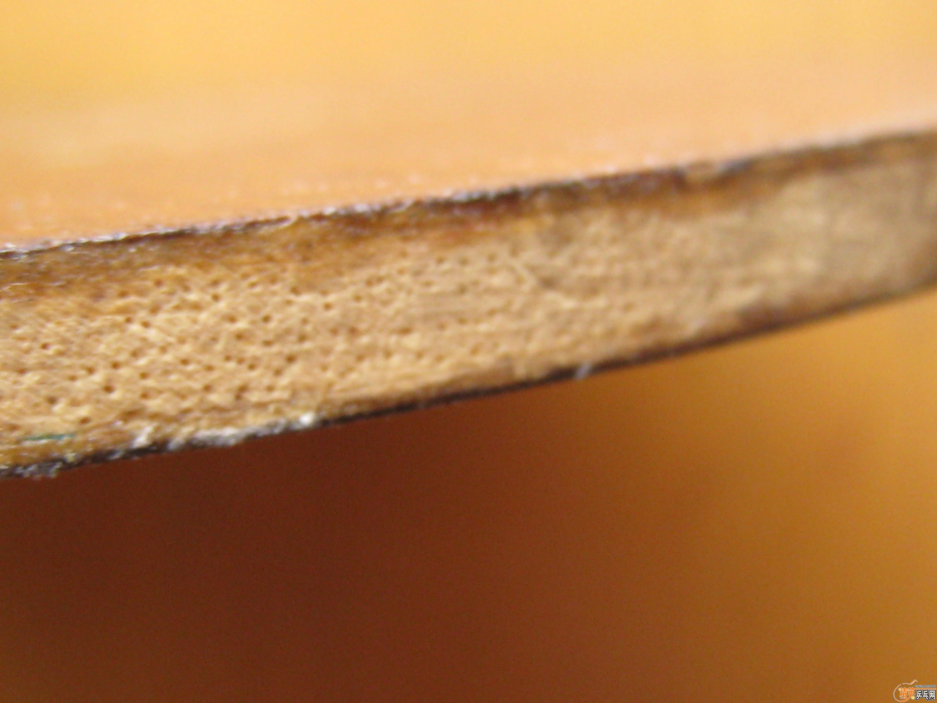 ��������հ���̼��yeo