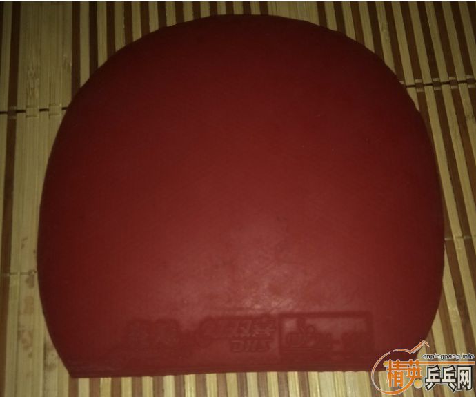 ֧������������׽����������F1��  ����������40����ʡ��39��