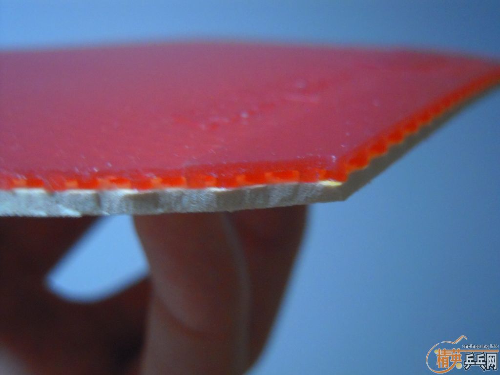 �������к���roundell soft����ɫ2.1��110���ʡ�