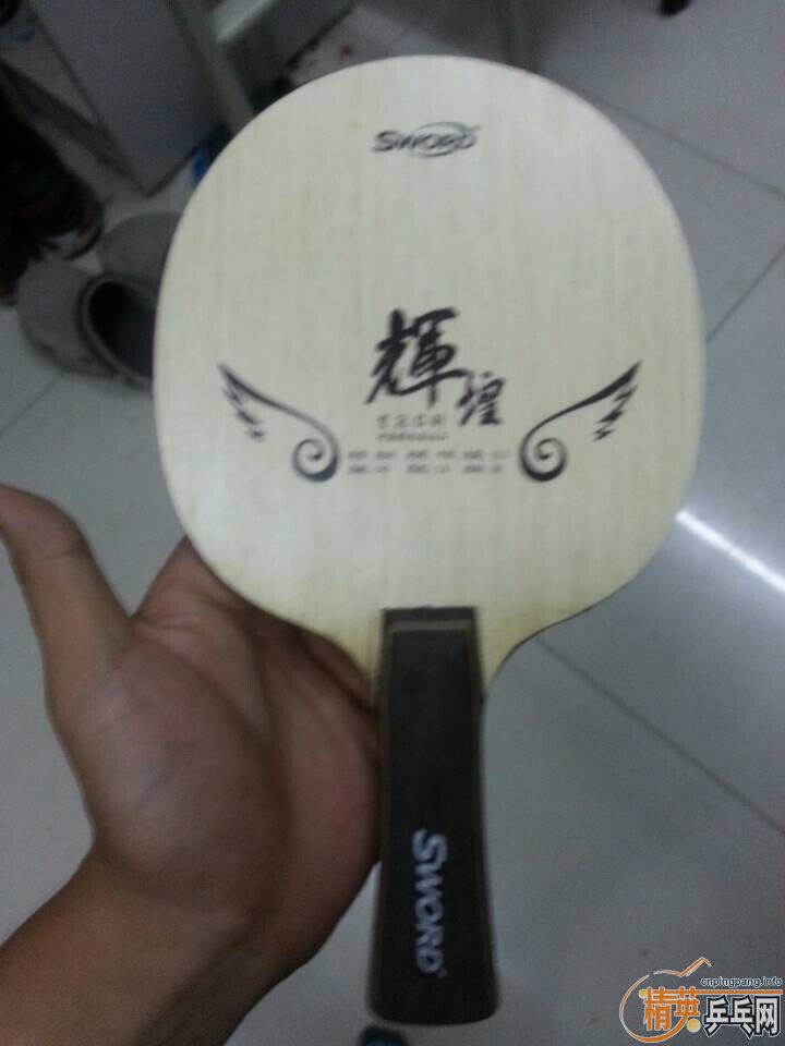 ������������µ����ƻԻͣ�stiga optimum mp