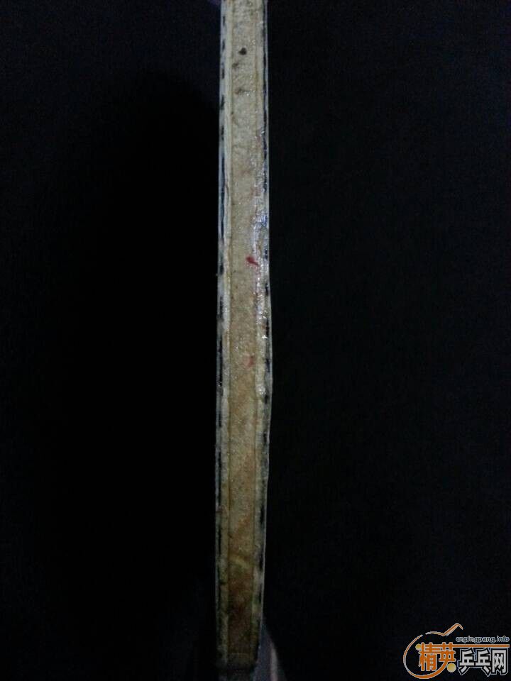 ������������µ����ƻԻͣ�stiga optimum mp